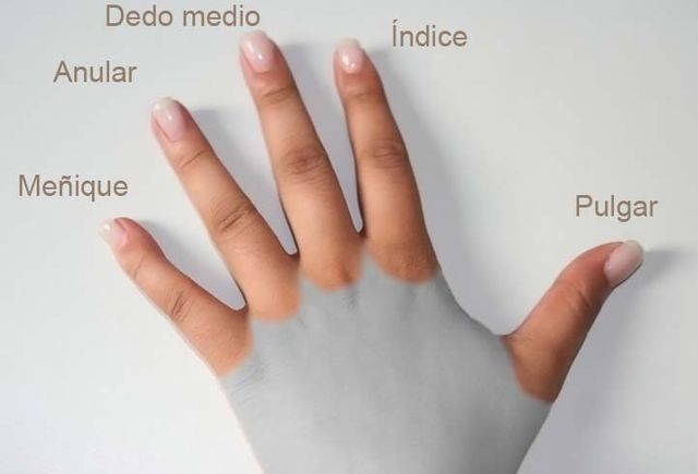 Cómo se llama todos los dedos de la mano