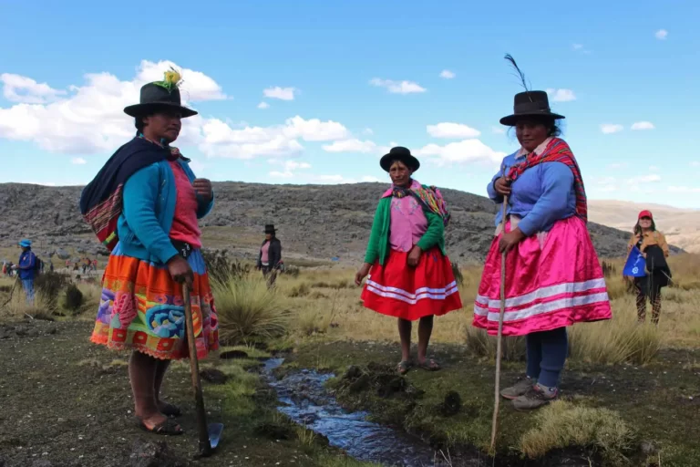 ¿Cuáles son los cuatro principios de la cosmovisión andina?